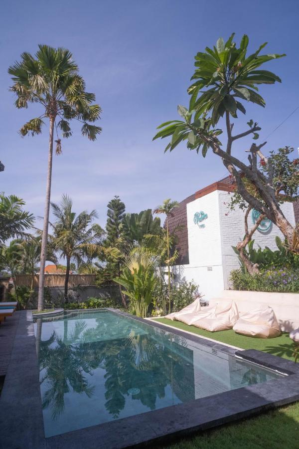 The Palms